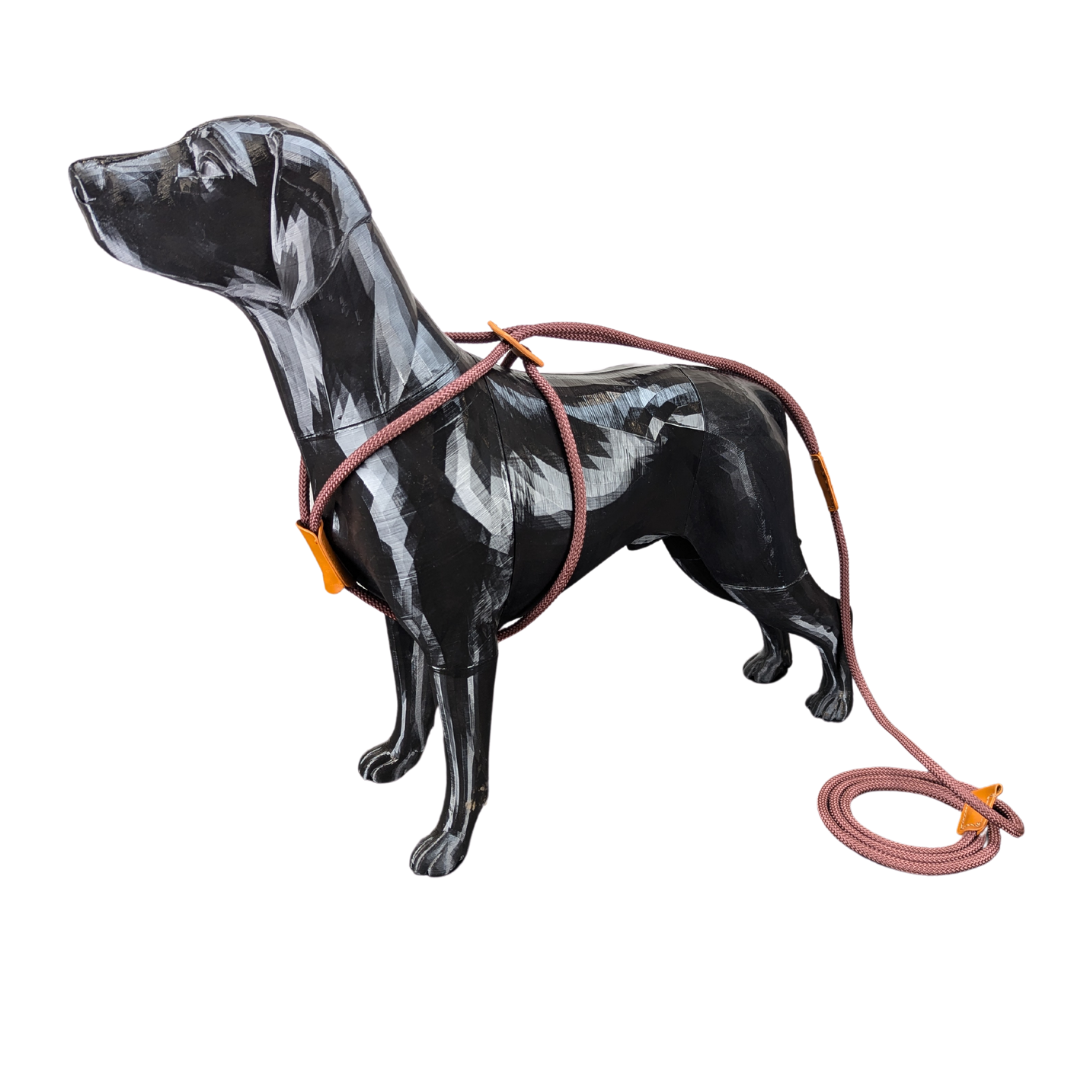 All-In-One  All-In-One "Slip Leash Harness" Walking Rope