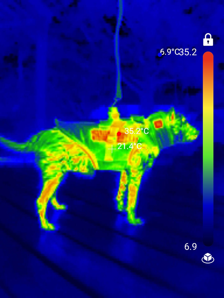 Vet Warm