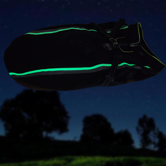 The Otto EXPLORER Heated Dog Vest w/Vizlite