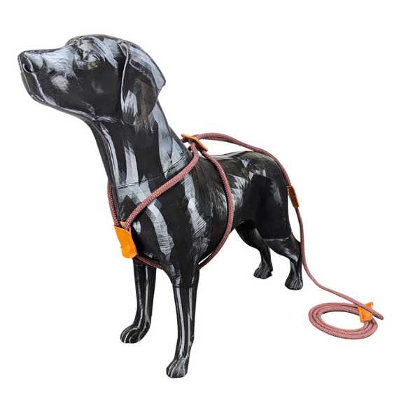 All-In-One "Slip Leash Harness" Walking Rope