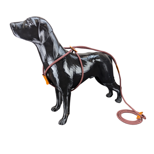 All-In-One "Slip Leash Harness" Walking Rope