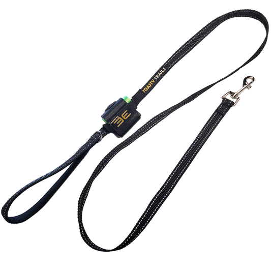 Toasty Trails Double-Sided Reflective Plush Handled Dog Leash - Small/Medium Dogs