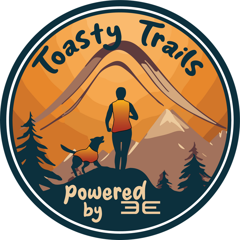 Electronic Technology – Toasty Trails Powered By 3E