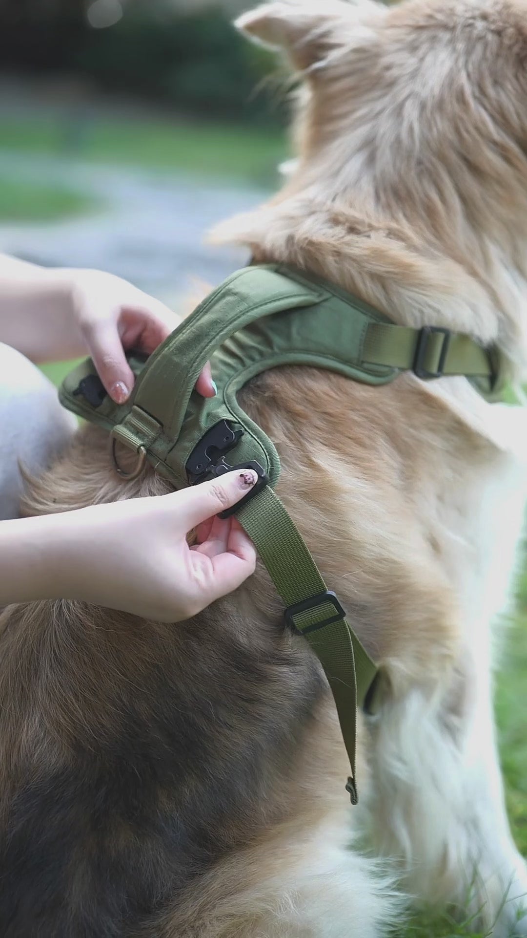 TACTICAL DOG HARNESS